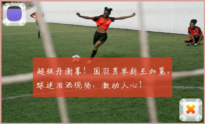 超级丹谢幕！国羽男单新王加冕，球迷泪洒现场，激动人心！