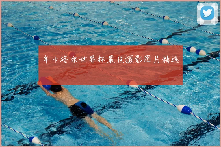 年卡塔尔世界杯最佳摄影图片精选