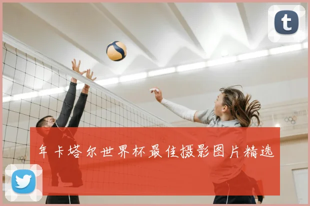 年卡塔尔世界杯最佳摄影图片精选